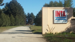 Preocupación en el INTA por el plan de achique y posibles despidos