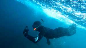 Puerto Madryn inicia el año con un incremento de 25% en el turismo