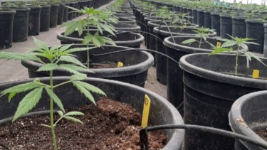 Oficializaron cambios tanto para particulares como para organizaciones. Foto: archivo