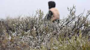 Llegó la nieve a la Patagonia: las provincias bajo alerta por nevadas y viento con ráfagas de 110 km/h