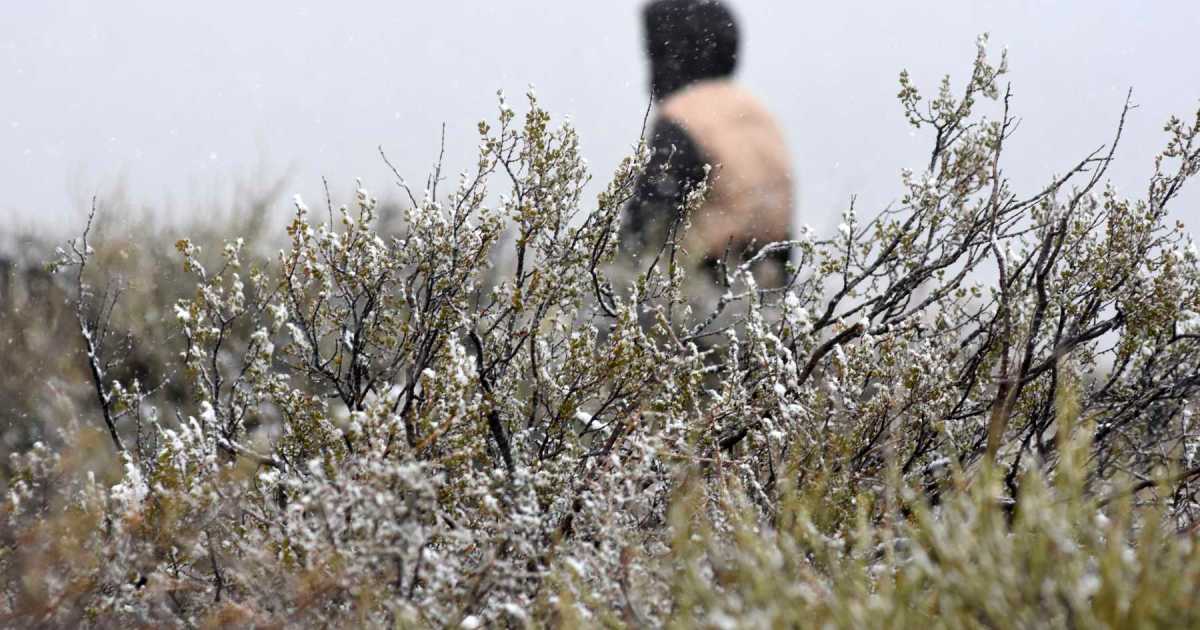 Alerta amarilla por nevadas en la cordillera: esperan hasta 20 cm de nieve acumulada este domingo