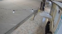 Imagen de Video | Así robó en una barbería de Viedma, horas después fue detenido