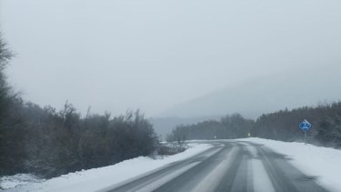 Solicitan transitar con extrema precaución en la Ruta 40 en la zona Pampa del Toro. Foto: Vialidad Nacional 