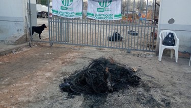 Centenario cerró las cajas municipales y suspendió limpieza urbana por una protesta de ATE