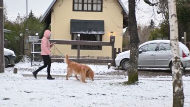 La nieve tiño de blanco las calles de Bariloche este lunes. Foto: Alfredo Leiva.