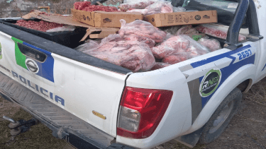 Decomisaron más de 3500 kilos de carne en mal estado en carnicerías de Choele Choel (Foto: gentileza)