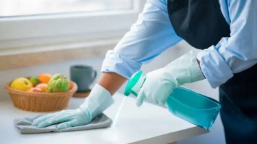 Empleadas domésticas.-