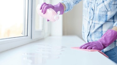 Empleadas domésticas.-