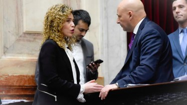 La diputada hizo su descargo. 