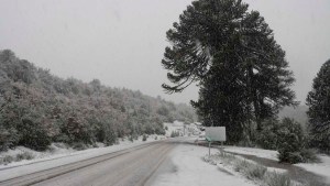 Alerta por nieve en Neuquén: dónde caerá con intensidad este lunes