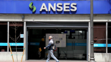 Pensiones No Contributivas de Anses en octubre 2024. 