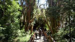 Administración de Parques Nacionales: «Cada turista podrá elegir libremente si contrata un guía o no»