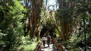 Los trabajadores sostienen que las Areas Naturales podrían estar en peligro. (FOTO: Archivo)