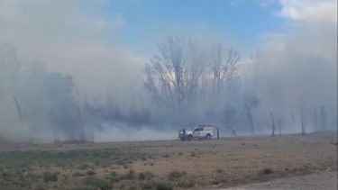 Video | Cipolletti, entre el viento y los incendios este jueves: hubo focos en Ferri e Isla Jordán