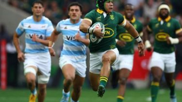 El sueño de Los Pumas chocó con la mejor versión de Sudáfrica en el Rugby Championship