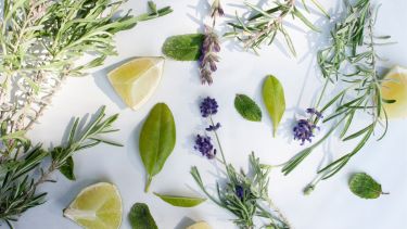 Las plantas aromáticas tienen muchos beneficios para la salud digestiva. 