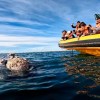 Imagen de Los pasajeros de Aerolíneas Argentinas tendrán descuentos para recorrer la costa rionegrina: cómo acceder