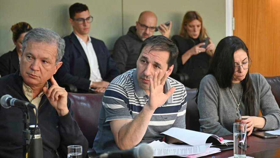 Claudio Domínguez, diputado del MPN. Foto: archivo Florencia Salto.