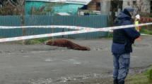 Imagen de Mataron a un hombre en Villa La Angostura: quién era y por qué su pareja es la principal sospechosa