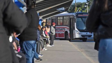 Colectivos en Neuquén y su funcionamiento en el feriado. 