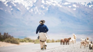 Rutas de Neuquén. Foto: Neuquén Turismo.-