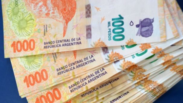 Cómo impacta el nuevo Salario Mínimo, Vital y Móvil de septiembre 2024 en el Potenciar Trabajo. 