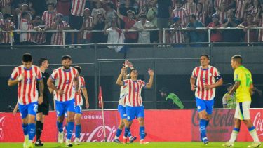 Diego Gómez anotó un gol inolvidable y Paraguay aumentó sus chances de ir al Mundial. (AFP(