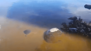 Complejo de Villa La Angostura vertía líquidos cloacales al lago: cortes de agua y clases suspendidas