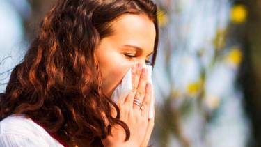 Alergias estacionales: estas acciones son muy efectivas para evitarlas