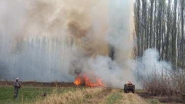 Bomberos cansados de las quemas en El Chañar: advierten con "dejar" focos que no tengan prioridad (Foto: gentileza)