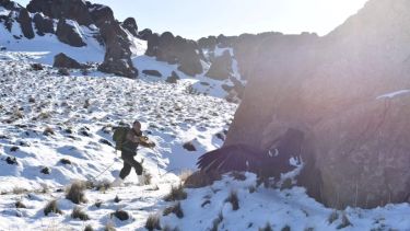 El animal fue encontrado por un poblador de Varvarco. (FOTO: Gentileza)