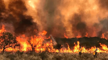 Continúan los incendios en Córdoba. Foto: Gentileza La Voz