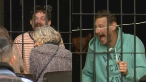 Le negaron la excarcelación al diputado Germán Kiczka y a su hermano acusados de pedofilia