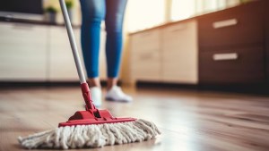 Aumento para empleadas domésticas: ¿pueden sumar otro plus en septiembre 2024?