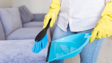 Empleadas domésticas.-