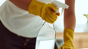 Empleadas domésticas esperan aumentos: cuánto cobran por hora y por mes en octubre 2024