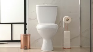 ¿Mirás tu caca de vez en cuando? Hay siete tipos y dan pistas sobre tu salud