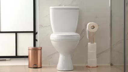 ¿Mirás tu caca de vez en cuando? Hay siete tipos y dan pistas sobre tu ...