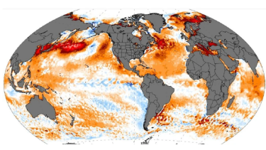 La niña, un fenómeno que se espera esta primavera. Foto: Gentileza Climate Reanalyzer.