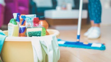 Empleadas domésticas.-