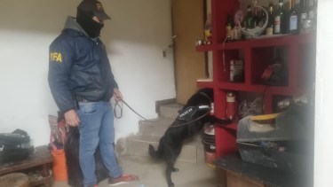Video: detienen a una familia que se dedicaba al narcotráfico en Neuquén