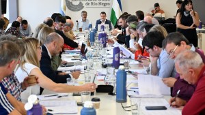 La quita del cobro de trámites en Río Negro será desde noviembre: qué pasará con los incentivos salariales