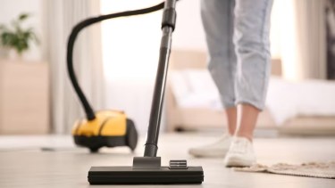 Empleadas domésticas.-