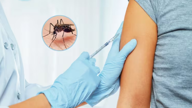 Vacunas contra el dengue en Neuquén. Foto: web