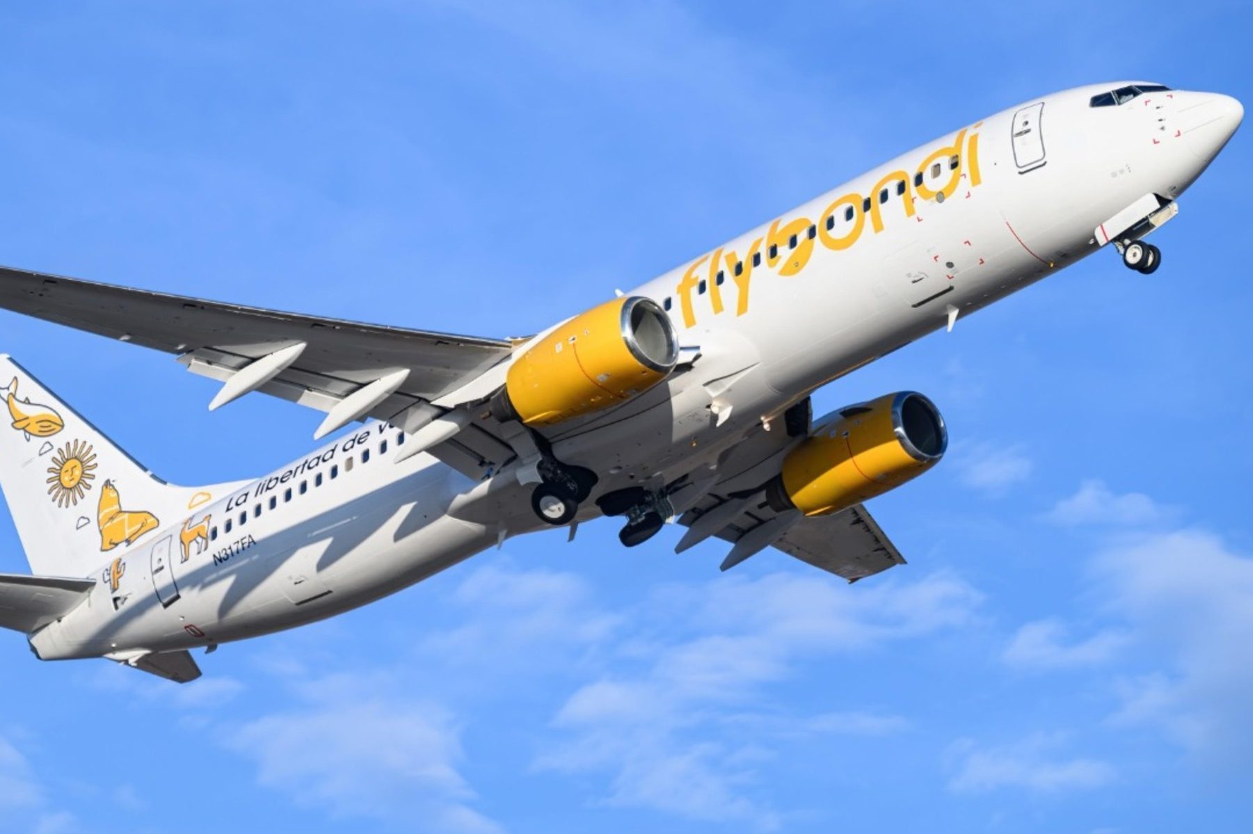 Flybondi en la mira: canceló vuelos entre Neuquén y Buenos Aires. Foto: Archivo. 