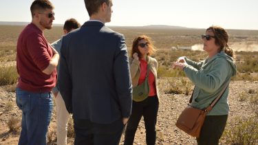 Basurales Alto Valle.