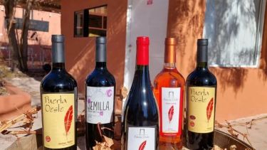 La Bodega Puerta Oeste produce de manera artesanal (Crédito: gentileza)