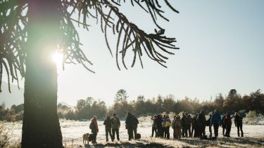 Reforestan un bosque nativo del Parque Nacional Lanín. Foto: Amigos de la Patagonia