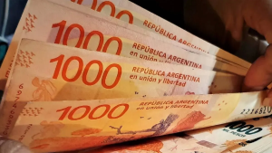 Los tres grupos que reciben el bono extraordinario de Anses en octubre 2024