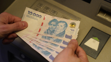 Bono de Anses en noviembre 2024. 